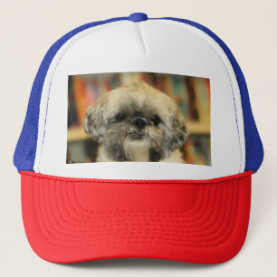 Cutie Trucker Pet
