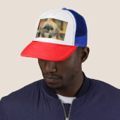 Cutie Trucker Pet (In situ)