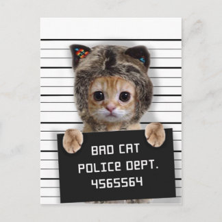 Cutkat stoute jongen briefkaart