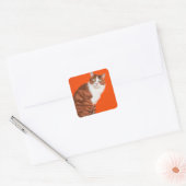 Cutkat Vierkante Sticker (Envelop)