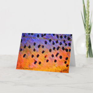 Cutkeel-forel - Kaart