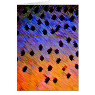 Cutkeel-forel - Kaart