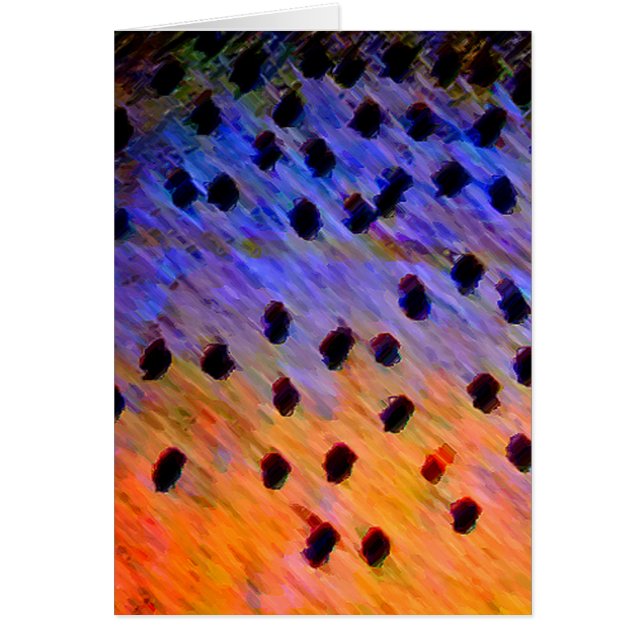 Cutkeel-forel - Kaart (Voorkant)