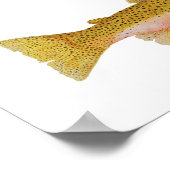 Cutkeel-forel Poster (Hoek)