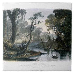 Cutoff River, tak van de as, bord 8 van V Tegeltje