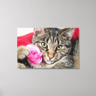 Cutomaten met Roos Canvas Afdruk