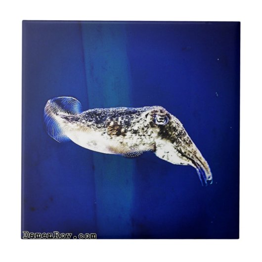 Cuttlevis Tegeltje (Voorkant)