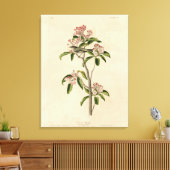 Cuvier's Kinglet (Cuvier's Regulus) Audubon Birds Canvas Afdruk (Insitu (Woonkamer))