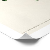 Cuvier's Kinglet van het Poster Audubon (Hoek)