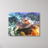 Cuzumel schildpad #4 canvas afdruk (Voorkant)