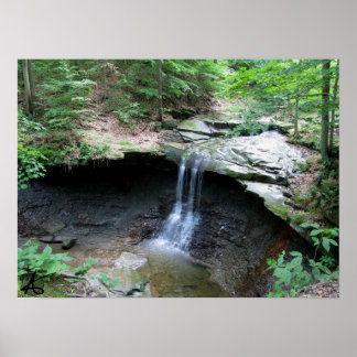 CVNP - Blue Hen 2010 Poster