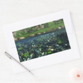 Cwm River Stickers (Envelop)