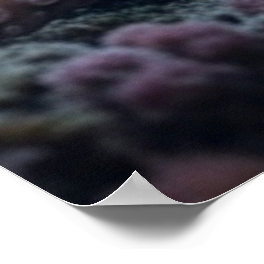 Cyber Octopus value poster (Coin)