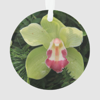 cybidiumorchideeën ornament