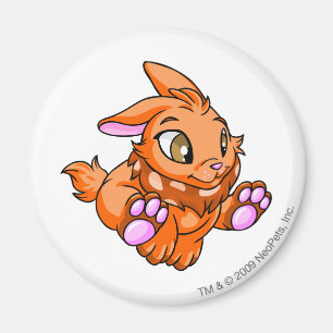 Cybunny Oranje Magneet