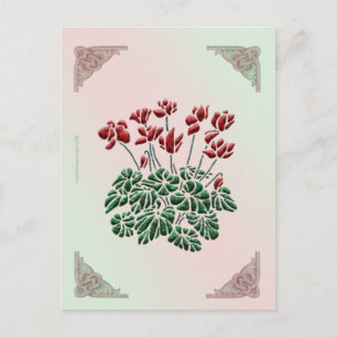 Cyclamen Briefkaart