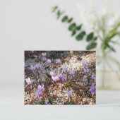 Cyclamen Briefkaart (Staand voorkant)