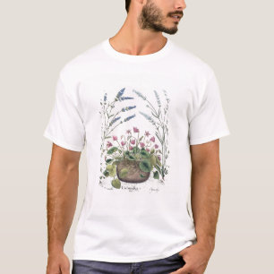 Cyclamen en Lavender: 1.Cyclamen Romanum; 2.Spica T-shirt