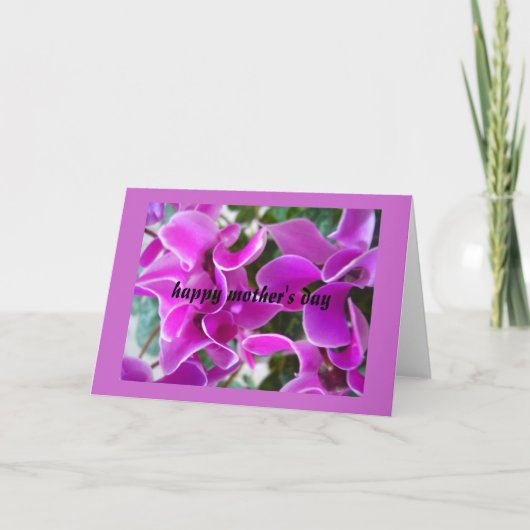 cyclamen kaart (Voorkant)