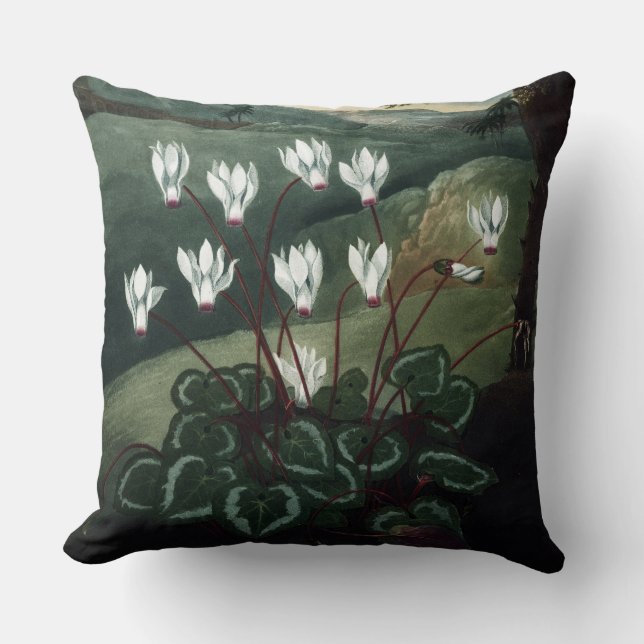 Cyclamen kussen complete schildering (Voorkant)