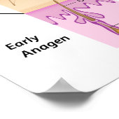 Cycle de croissance des cheveux Poster (Coin)