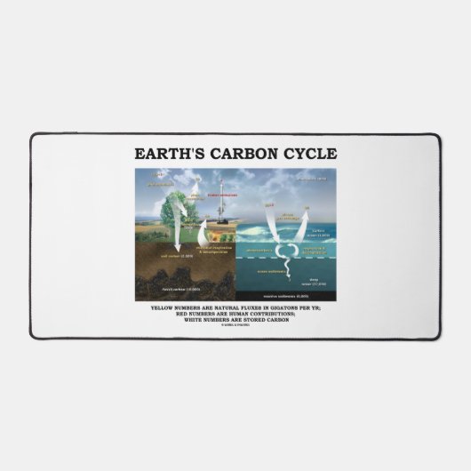 Cycle du carbone de la Terre Science De l'environn (Recto)