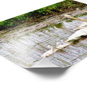 Cycles photo 6x4 (Coin)