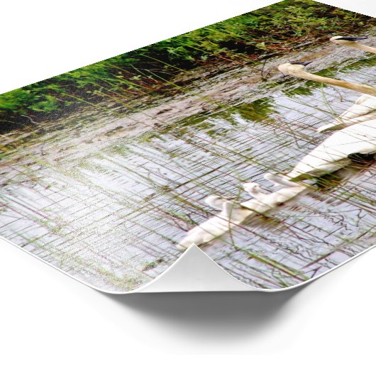 Cycles photo 6x4 (Coin)