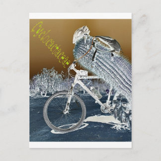 Cyclocactaceae Briefkaart