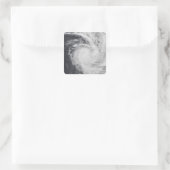 Cyclondierentuin in het zuidelijke deel van de Sti Vierkante Sticker (Tas)