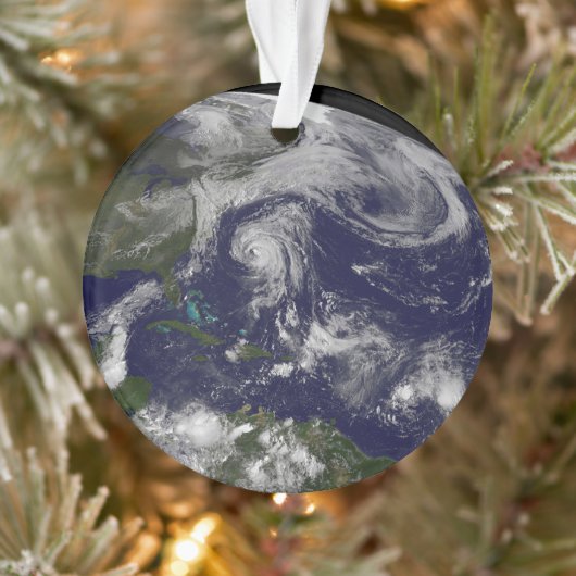 Cyclones Tropicaux Katia, Lee, Maria Et Nate. (Arbre)