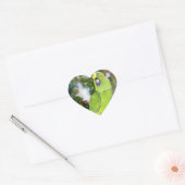 Cydney Yellow Naped Parrot Hart Sticker (Envelop)