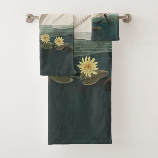 cygne audubon cygnes d'eau blanche (En situation)