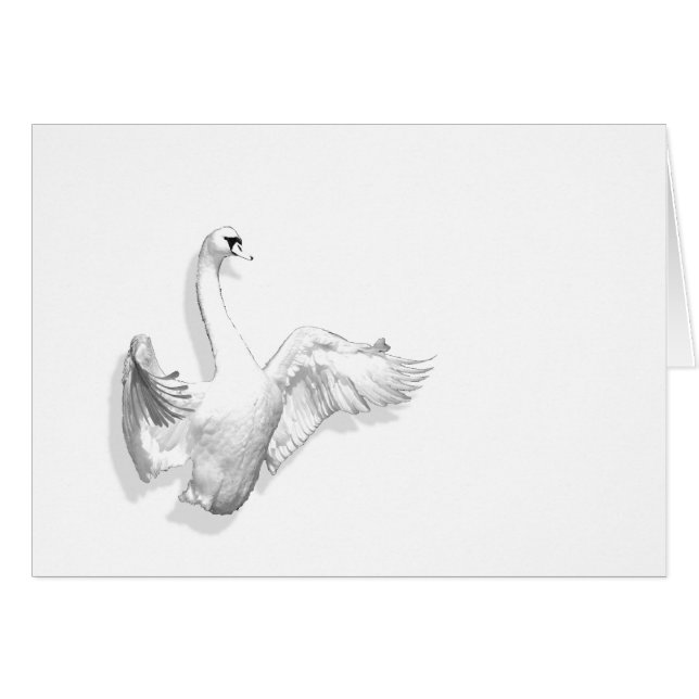 Cygne blanc - carte (Devant horizontal)