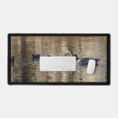 Cygne blanc dans Mallard Canards Mat (Clavier et souris)