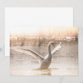 Cygne blanc pendant la carte Sunrise (Devant / Derrière)