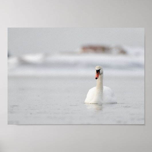 Cygne dans un paysage marin gelé poster (Devant)
