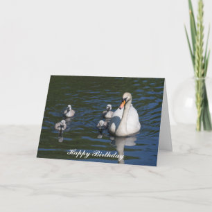 Cygne muet avec Cygnets Carte d'anniversaire