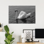 Cygne. Poster de B&W Roath Park Lake, Cardiff, Pay (Bureau à domicile)