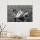 Cygne. Poster de B&W Roath Park Lake, Cardiff, Pay (Cuisine)