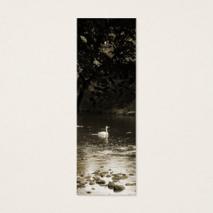 Cygne sur le signet de rivière