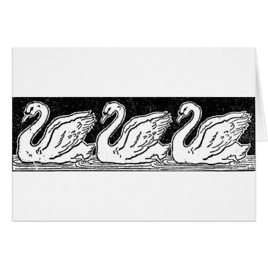 Cygnes (Devant horizontal)