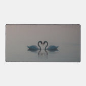 Cygnes bleus (Recto)