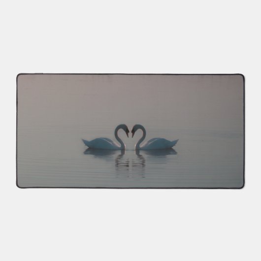 Cygnes bleus (Recto)