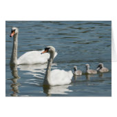 Cygnes Et Canards Rouges (Devant horizontal)