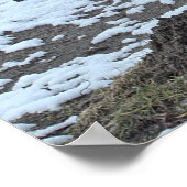 Cygnes, lac et banquette - affiche (Coin)
