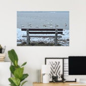 Cygnes, lac et banquette - affiche (Bureau à domicile)