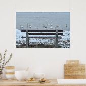 Cygnes, lac et banquette - affiche (Cuisine)