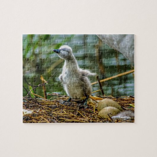 Cygnet Legpuzzel (Horizontaal)