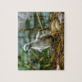 Cygnet Legpuzzel (Verticaal)